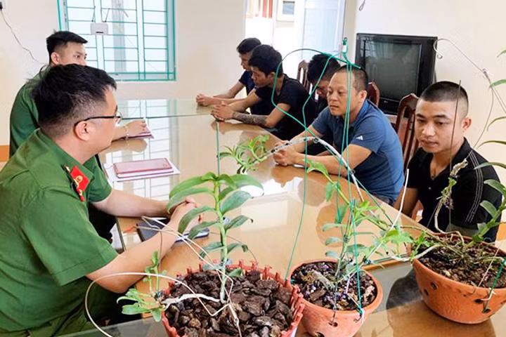 Công an huyện Yên Thủy (Hòa Bình) bắt giữ nhóm đối tượng có dấu hiệu lừa đảo, chiếm đoạt tài sản thông qua mua, bán hoa lan đột biến