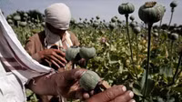 [ẢNH] Đọ súng dữ dội giữa Taliban và lính biên phòng Uzbekistan?