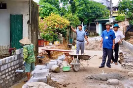 Tiêu chuẩn thành viên Ban Thanh tra nhân dân ở xã, phường, đặc khu