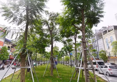 Giao lưu trực tuyến "An toàn mùa mưa bão" ảnh 106 Giao lưu trực tuyến "An toàn mùa mưa bão" ảnh 106