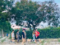 Hà Nội đóng cửa công viên, người dân tấp nập ra vỉa hè, lòng đường tập thể dục