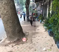Tuyên truyền nhắc nhở hộ kinh doanh không lấn chiếm vỉa hè, phố hoa cây cảnh trên đường Hoàng Hoa Thám