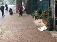 Tuyên truyền nhắc nhở hộ kinh doanh không lấn chiếm vỉa hè, phố hoa cây cảnh trên đường Hoàng Hoa Thám