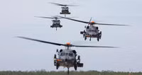 d-6.jpg