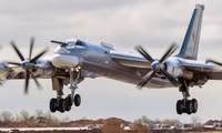 aa-50.jpg