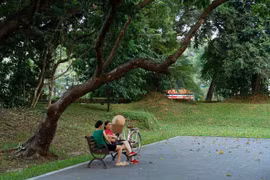 Nhịp sống êm đềm bên Thành cổ Sơn Tây