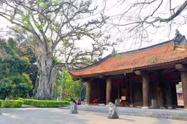 Miễn phí tham quan Khu di tích quốc gia đặc biệt Lam Kinh