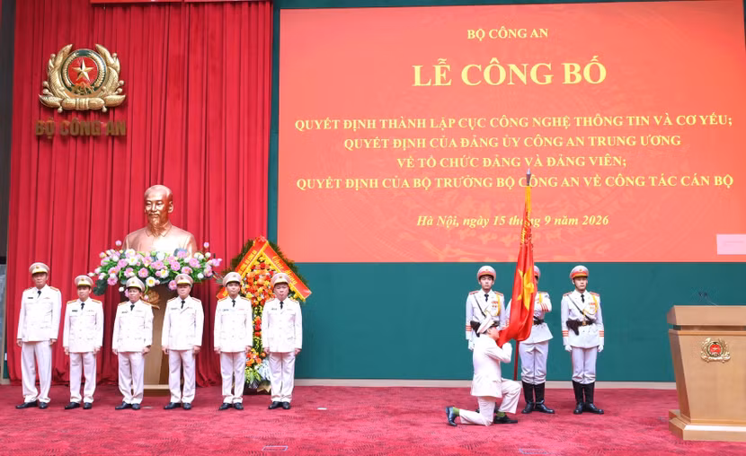 cong6.jpg