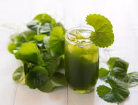 [ẢNH] Những thực phẩm giúp thanh lọc cơ thể cực tốt vào mùa hè không thể bỏ qua