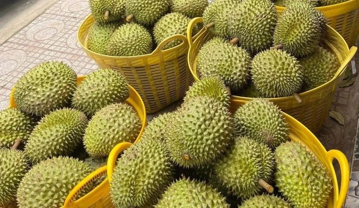 Xuất khẩu rau quả dự báo tăng trưởng tích cực trong quý III