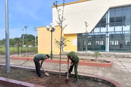 Công an xã Kiều Phú trồng cây xanh tại các trường học