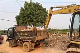 Đổ chất thải rắn không đúng nơi quy định, người đàn ông bị khởi tố