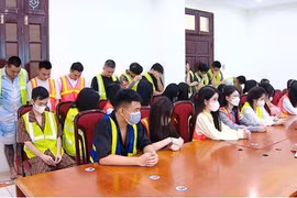 Công an Hà Nội triệt phá đường dây mua bán, san chiết tinh dầu ma tuý khoảng 100 tỷ đồng