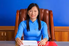 Người phụ nữ sử dụng chiêu trò ký kết các hợp đồng hợp tác đầu tư để lừa đảo