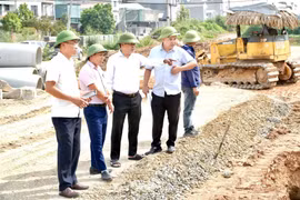 Xã Tây Phương: Nỗ lực tháo gỡ khó khăn, đẩy nhanh tiến độ các dự án