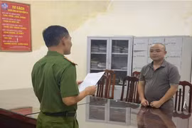 Người đàn ông làm nghề môi giới mua bán lợn lừa đảo chiếm đoạt gần 1 tỷ đồng