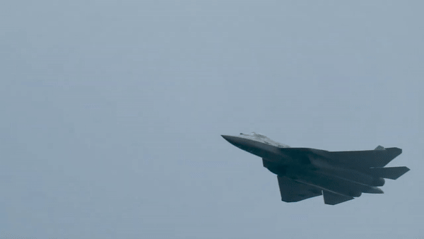 dd-69.gif
