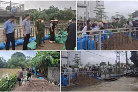 Khẩn trương đắp bờ bao, xử lý nguy cơ tràn đê