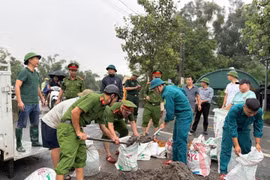 Khẩn trương gia cố bờ bao ven sông Nhuệ, ứng phó nguy cơ ngập úng