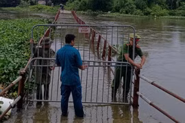 Chủ động phòng ngừa, ứng phó với mưa bão, ngập úng do ảnh hưởng hoàn lưu bão số 4