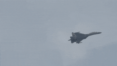 opendishonestdogfish-max-1mb-8587-9537.gif