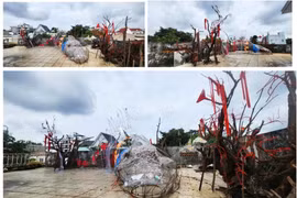 Triển lãm Điêu khắc Sài Gòn - Hà Nội