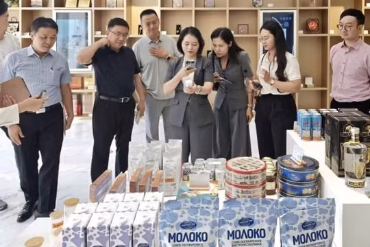 Xuất khẩu qua thương mại điện tử xuyên biên giới đạt khoảng 4,45 tỷ USD