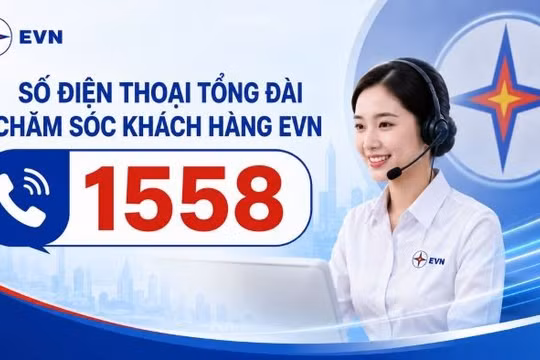 EVN có đầu số điện thoại chăm sóc khách hàng mới