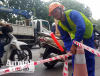 Hà Nội: Mời người dân cùng giám sát việc đánh chuyển 1.159 cây xanh trên đường Phạm Văn Đồng