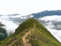 Cưỡi 