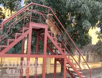 Chuyện ít biết về những 