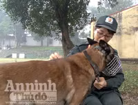 Chuyện ít biết về những 