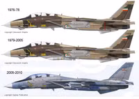Nguyên nhân bí ẩn nào khiến F-14 Iran vẫn bay tốt sau 40 năm phục vụ?