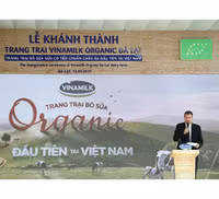 Khám phá trang trại Vinamilk Organic chuẩn châu Âu trên cao nguyên Đà Lạt