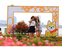 Nô nức rủ nhau dạo đường hoa bên sông Hàn đón Tết