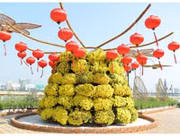 Nô nức rủ nhau dạo đường hoa bên sông Hàn đón Tết