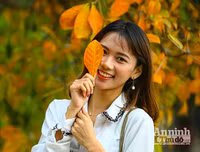 [ẢNH] Ngỡ ngàng với bản giao hưởng màu sắc của các loài hoa bên hồ Gươm