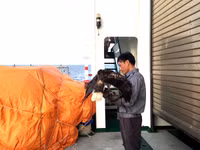 Luyện chim đại bàng giữa Trường Sa