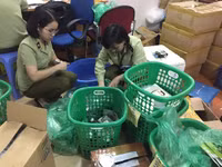 Cận cảnh gần 1.600 sản phẩm đông dược không rõ nguồn gốc