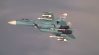 [ẢNH] Su-27 Nga rơi tại biển Đen do 