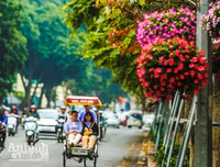 [ẢNH] Ngỡ ngàng với bản giao hưởng màu sắc của các loài hoa bên hồ Gươm