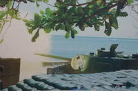 Những 