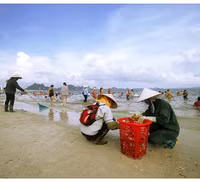 Những 
