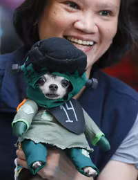 [ẢNH] Những chú chó hóa trang mùa Halloween không thể đáng yêu hơn