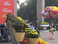 Sắc xuân trên phố phường Hà Nội