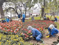Sắc xuân trên phố phường Hà Nội