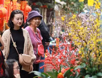 Sắc xuân trên phố phường Hà Nội