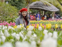 Lạc lối giữa 