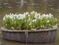 Lạc lối giữa 