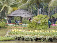 Lạc lối giữa 